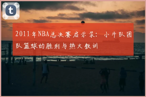 2011年NBA总决赛启示录:小牛队团队篮球的胜利与热火教训